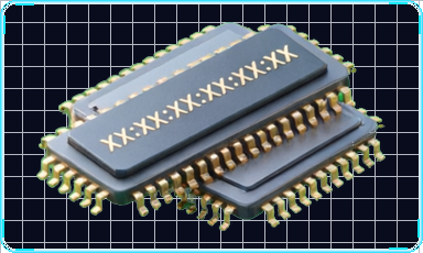 MAC Address